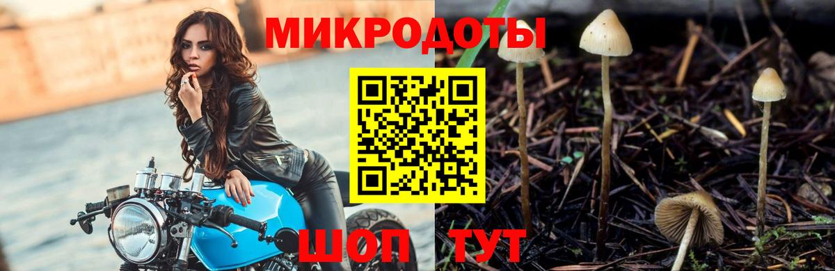 Галлюциногенные грибы прущие грибы  Псилоцибиновые грибы мицелий  Семёнов  Вход с VPN 